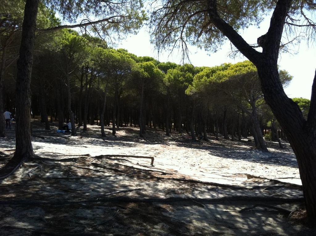 Case Vacanze Budoni Beach الغرفة الصورة